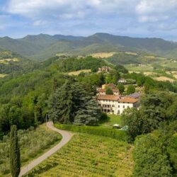 Large estate and agriturismo with 12 hectares for sale near Florence Tuscany (50)-1200
