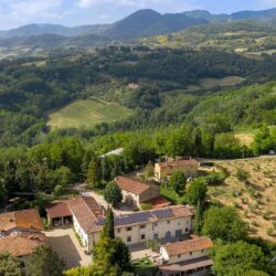Large estate and agriturismo with 12 hectares for sale near Florence Tuscany (51)-1200