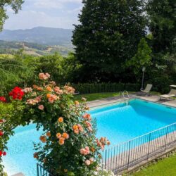 Large estate and agriturismo with 12 hectares for sale near Florence Tuscany (53)-1200
