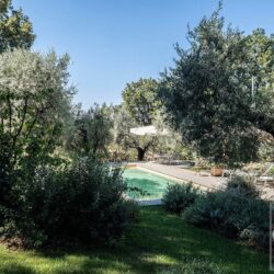 One Storey Property with Pool for sale near Bolgheri Tuscany (10)