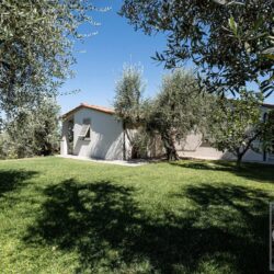 One Storey Property with Pool for sale near Bolgheri Tuscany (12)
