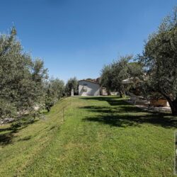 One Storey Property with Pool for sale near Bolgheri Tuscany (18)