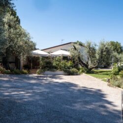 One Storey Property with Pool for sale near Bolgheri Tuscany (2)