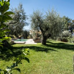 One Storey Property with Pool for sale near Bolgheri Tuscany (25)