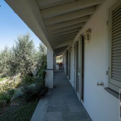 One Storey Property with Pool for sale near Bolgheri Tuscany (36)