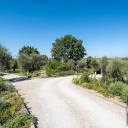 One Storey Property with Pool for sale near Bolgheri Tuscany (4)