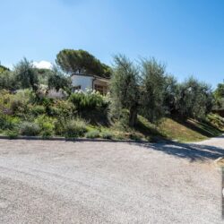 One Storey Property with Pool for sale near Bolgheri Tuscany (5)