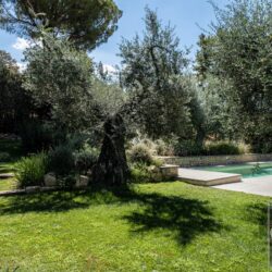 One Storey Property with Pool for sale near Bolgheri Tuscany (60)