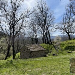 Group of buildings for sale near Bagni di Lucca Tuscany (27)