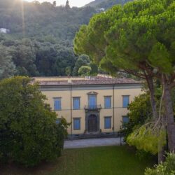 Historic villa for sale near Lucca Tuscany (19)