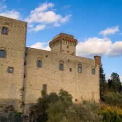 Incredible castle for sale near Florence Tuscany (50)