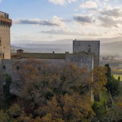 Incredible castle for sale near Florence Tuscany (88)