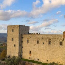 Incredible castle for sale near Florence Tuscany (99)