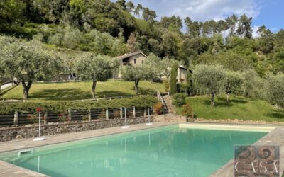 Two Restored Farmhouses with Pool & 17 Ha including Olives