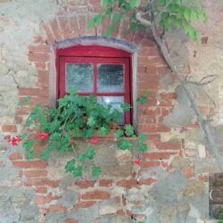 Beautiful Farmhouse for sale near San Gimignano, Tuscany (28)