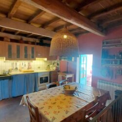 Delightful Village House for sale with Terraces Lucca Tuscany (22)