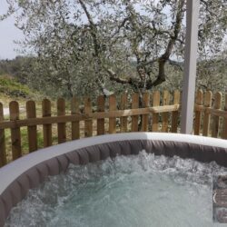 Bed & Breakfast for sale in Tuscany (56)