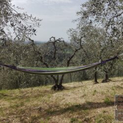 Bed & Breakfast for sale in Tuscany (57)