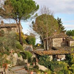 Beautiful Estate for sale near Castellina in Chianti, Tuscany (4)