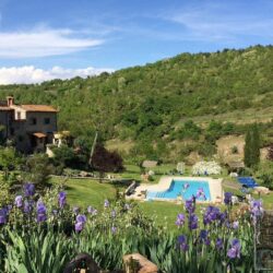 Beautiful Estate for sale near Castellina in Chianti, Tuscany (7)