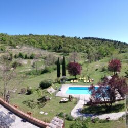 Beautiful Estate for sale near Castellina in Chianti, Tuscany (70)