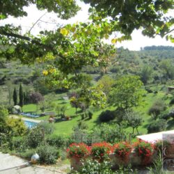 Beautiful Estate for sale near Castellina in Chianti, Tuscany (9)