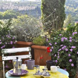 Charming Property for sale near Florence Tuscany (2)