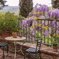 Charming Property for sale near Florence Tuscany (4)