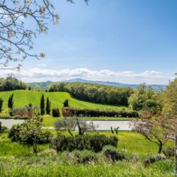 Wonderful Val d'Orcia Property with Pool for sale (47)