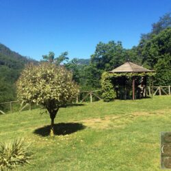 House with pool for sale near Bagni di Lucca (3)