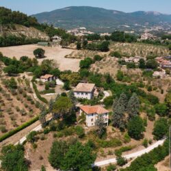 Property for sale near Spoleto Umbria (38)