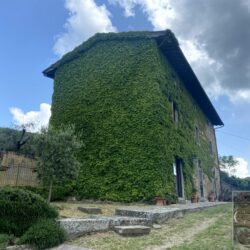 Stone villa for sale near Cortona Tuscany (32)