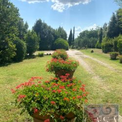 Beautiful villa with pool for sale near Castiglion Fiorentino Arezzo Tuscany (4)