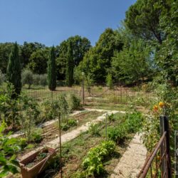 Rustic house for sale with pool near Todi Umbria (39)