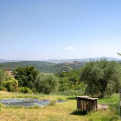 Rustic house for sale with pool near Todi Umbria (41)