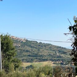 Stone house for sale just 5km from Cortona Tuscany (29)
