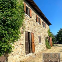 Stone house for sale just 5km from Cortona Tuscany (34)