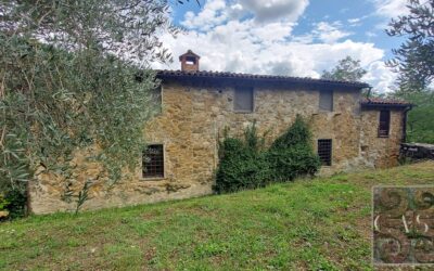 4 Bedroom Tuscan Stone Farmhouse with Heated Pool, Annex & Olives
