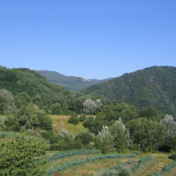 House with terrace for sale near Bagni di Lucca, Tuscany (10)