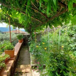 Tuscan Village House with Garden for sale (27)
