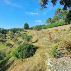 Country House for sale near Barga Lucca Tuscany (10)