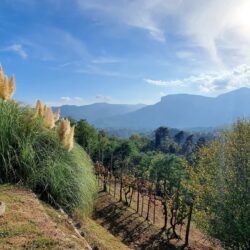 Country House for sale near Barga Lucca Tuscany (15)