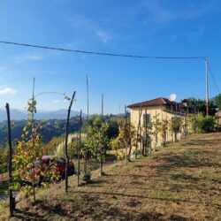 Country House for sale near Barga Lucca Tuscany (17)