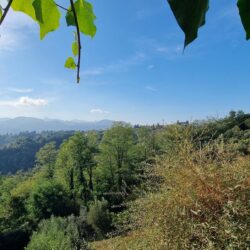 Country House for sale near Barga Lucca Tuscany (6)