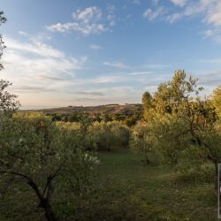 Villa for sale near the Tuscan coast (27)