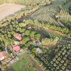 Villa for sale near the Tuscan coast (31)