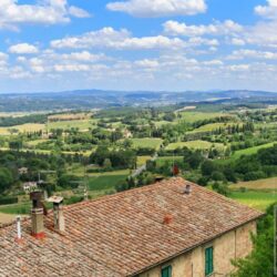 Castle for sale in Tuscany (24)