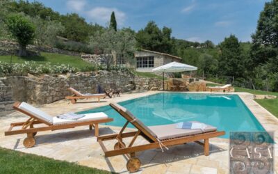 A Wonderful Chianti Property with Pool, Spa, Vineyard & Olives