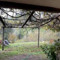 House with pool for sale near Barga Tuscany (6)