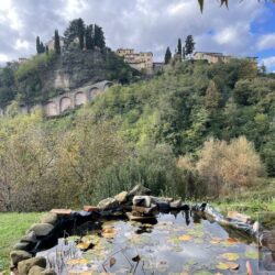 House with pool for sale near Barga Tuscany (7)